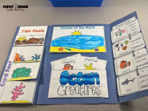Animal Habitats Project Ideas - First Grade Centers and More